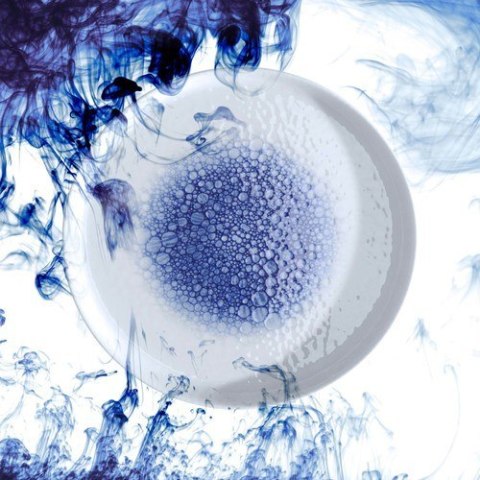 Miska Serenity 200 mm 600 ml | FINE DINE 760208