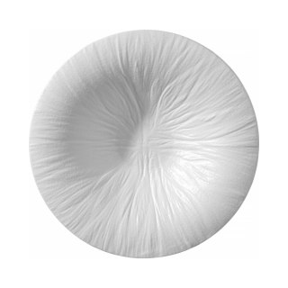 Talerz do pasty Fiord 250mm | FINE DINE 788530