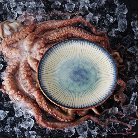 Talerz owalny Galaxy 190 mm | FINE DINE 769126