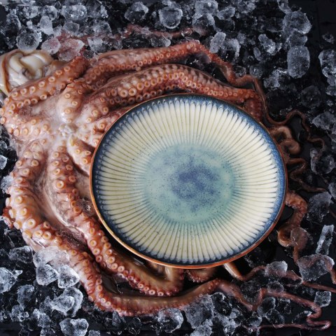 Talerz owalny Galaxy 190 mm | FINE DINE 769126