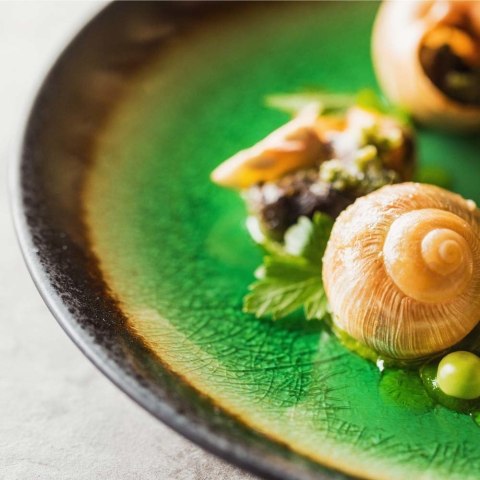 Talerz płytki Beryl 207 mm | FINE DINE 772836