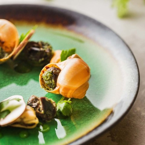 Talerz płytki Beryl 207 mm | FINE DINE 772836