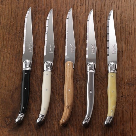 Nóż do steków ząbkowany z rękojeścią ze stali nierdzewnej Blade 230 mm Steelite