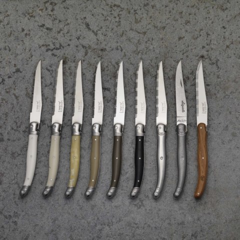 Nóż do steków ząbkowany z rękojeścią ze stali nierdzewnej Blade 230 mm Steelite