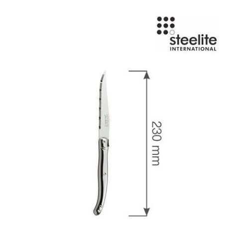 Nóż do steków ząbkowany z rękojeścią ze stali nierdzewnej Blade 230 mm Steelite