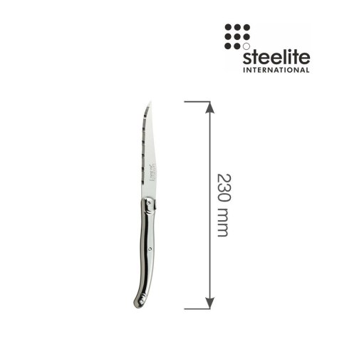 Nóż do steków ząbkowany z rękojeścią ze stali nierdzewnej Blade 230 mm Steelite