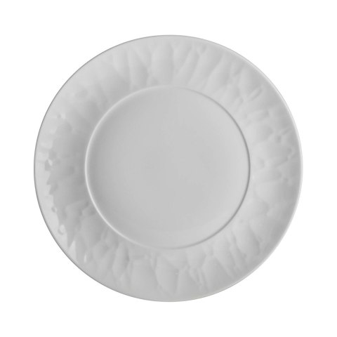 Talerz płytki Atelier 241 mm Steelite