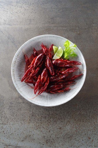 Talerz płytki Essence, 270 mm Fine Dine