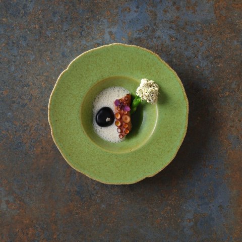 Talerz płytki bez rantu Edenic, 210mm Fine Dine