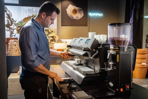 Ekspres kolbowy Tecnique HX 2-grupowy brązowy gastronomiczny Resto Quality Tecnique HX 2GR Bronze