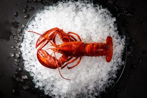 Łuskarka do lodu Hoshizaki 65 kg/24h płatki lodu powietrze Resto Quality FM-60KE-HC