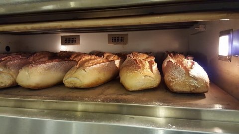 Modułowy piec piekarniczy 2-komorowy 24,4 kW 400V 1660x1400 mm Resto Quality MD/1400/1