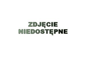 RF | GNU - 1/1-65 Pojemniki gastronomiczne z uchwytami