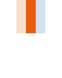 VBM