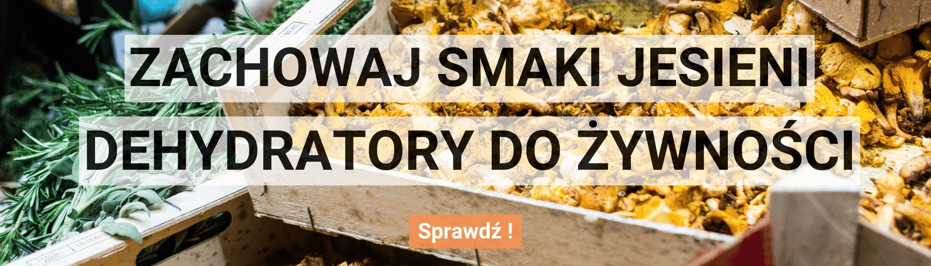 Suszarki do grzybów i owoców